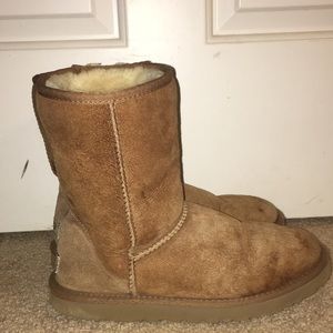 Short chestnut uggs